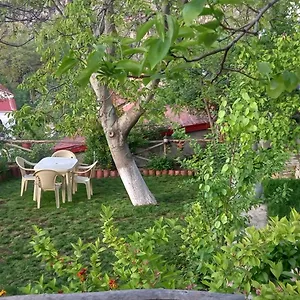 https://family-house-roleo.albaniahotels.org